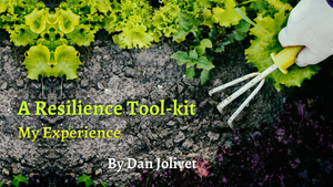 A Resilience Toolkit: My Experience